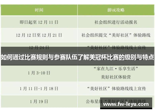 如何通过比赛规则与参赛队伍了解美冠杯比赛的级别与特点