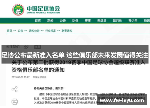 足协公布最新准入名单 这些俱乐部未来发展值得关注