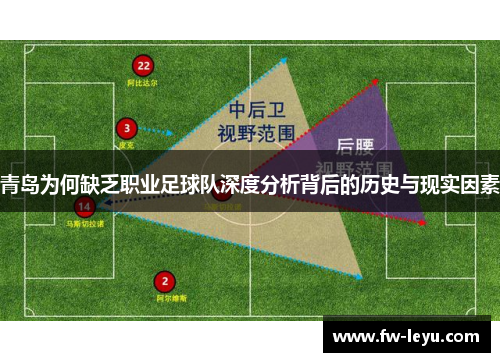 青岛为何缺乏职业足球队深度分析背后的历史与现实因素 青岛为何缺乏职业足球队深度分析背后的历史与现实因素